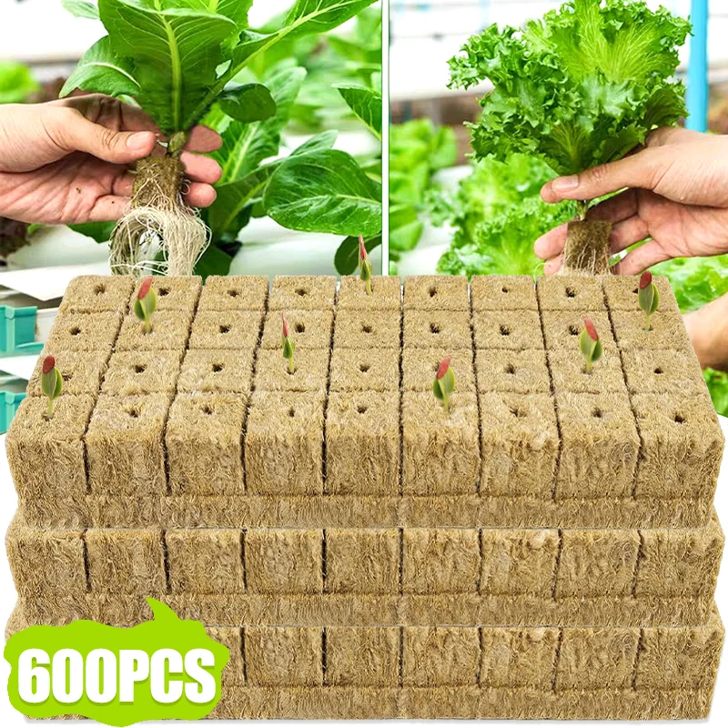 600/50x Rockwool Cubes Rockwool Grow Cubes Starter Plugs for Seed Starter Soilless Cultivation Hydroponics Plant Propagation