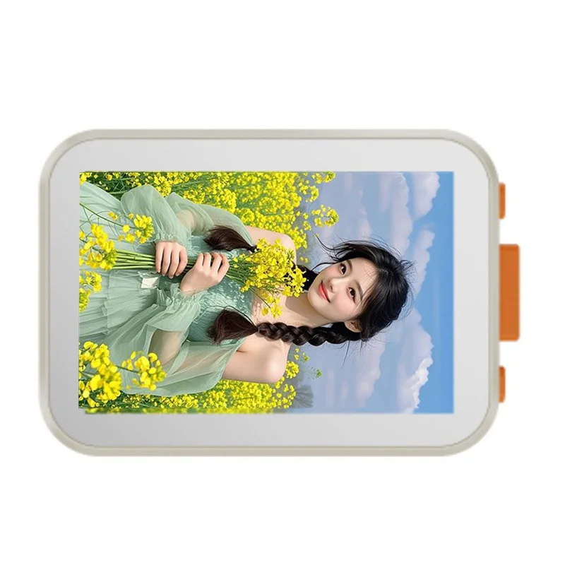 B29C-RK-X40H Wirele…