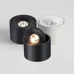 Surface Mounted Dimmable COB LED Downlights 7W 10W 15W 20W 24W Rotatable LED Ceiling Lamp Background Spot Lights Indoor Lighting