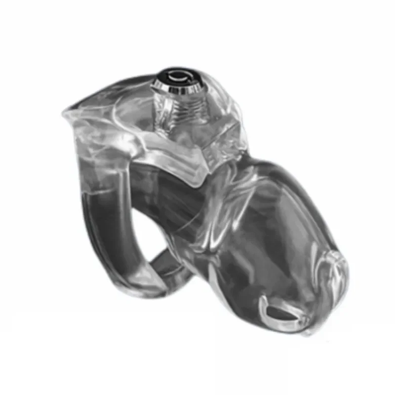 2023 Upgrade HT-V5 Male Chastity Cage Click Lock 3 Colors Resin Cock Cages Penis Lock Bondage Trainer Sex Toys for Men Gay 18+