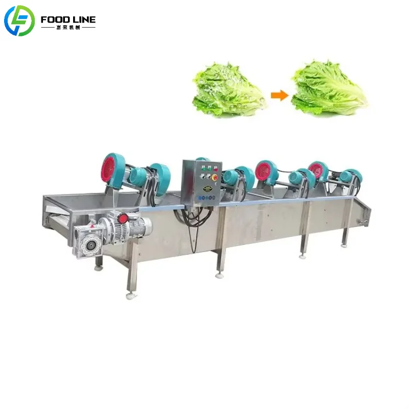 Customized Commercial Fruit and Vegetable Drying Conveyor Belt Stainless Steel Air Drying Efficient Equipment