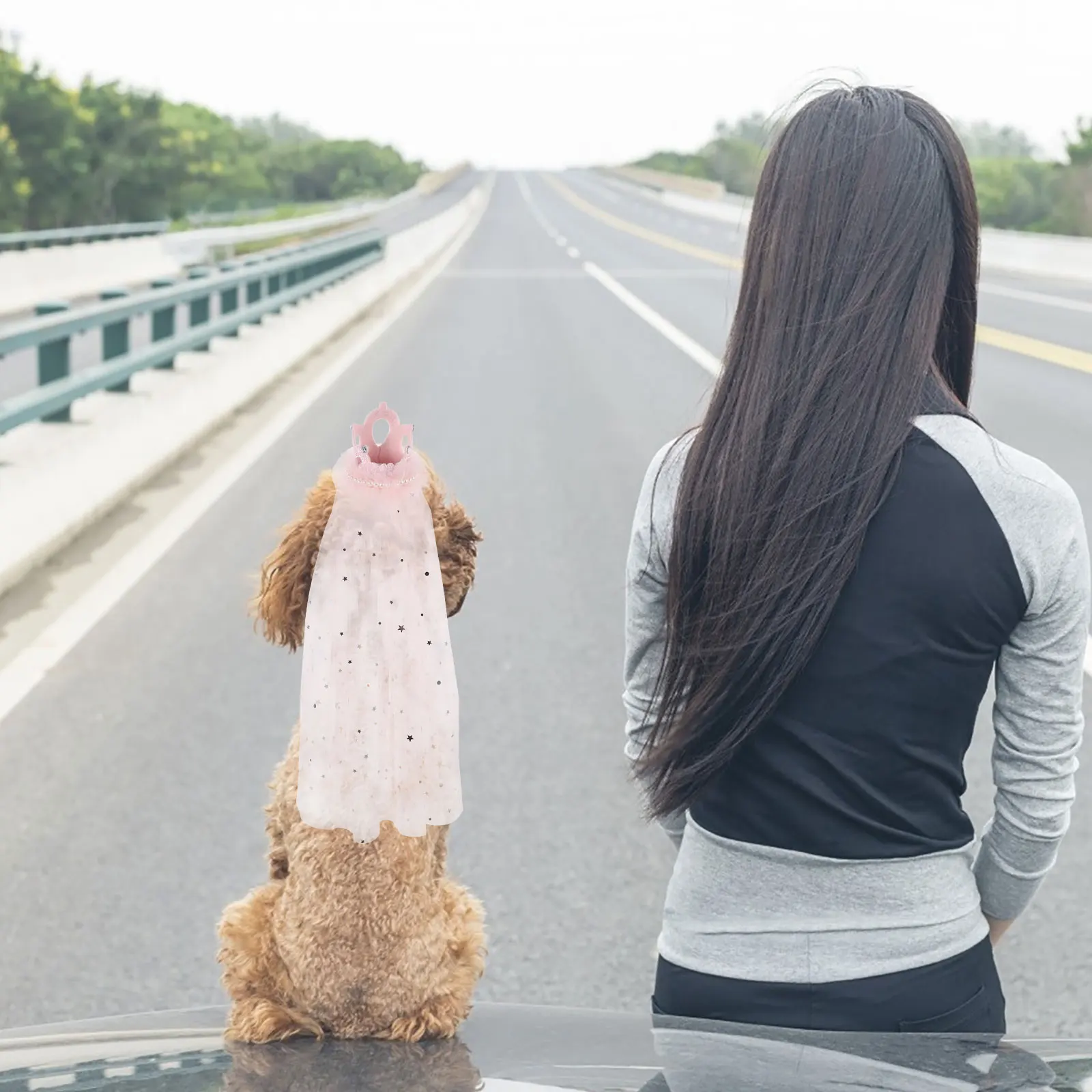 

Корона, вуаль, головной убор для домашнего животного, свадебная собака, кошка, аксессуары для невесты, розовый легкий удобный декор, костюм для домашнего животного, вуаль, корона для собаки