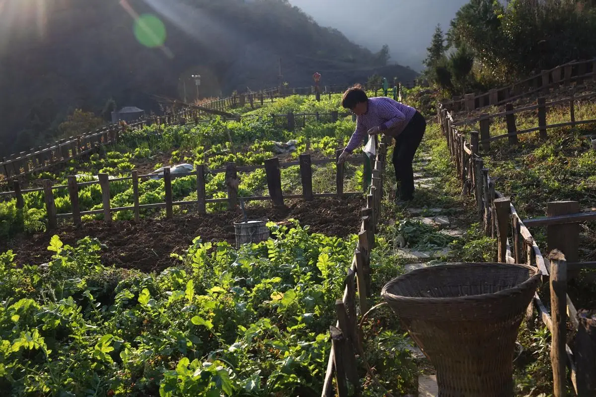 

Convert to DriveShaft Part Converter New For ZP