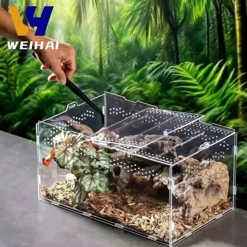 Clear Acrylic Insect Reptile Habitat Box for Hermit Crabs Spiders Custom Pet Terrarium Ventilated Stackable Design