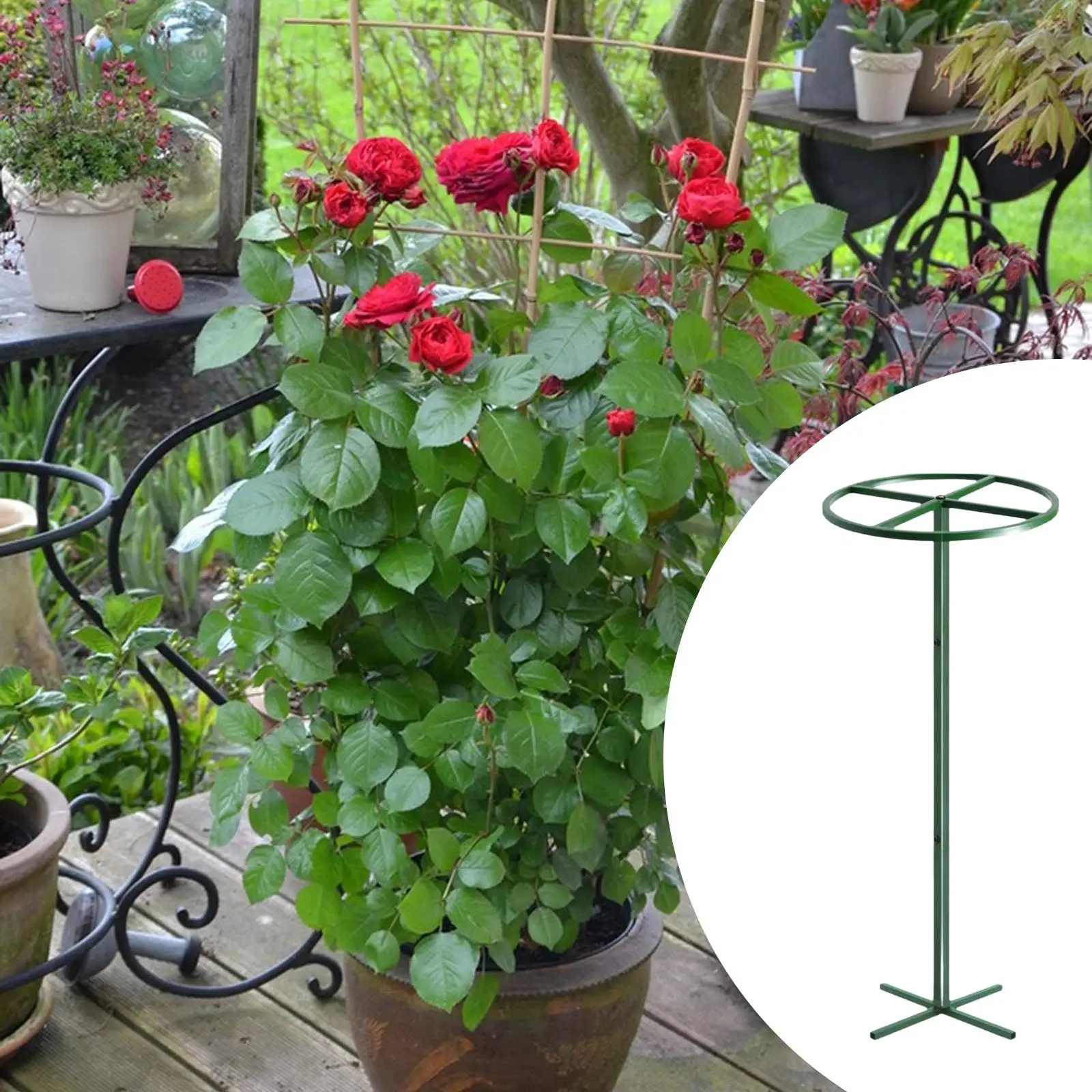 Dragon Fruit Trellis DIY Vertical Part Accessories Potted Support Holder Plant Support Rack for Garden Flower Indoor Plants Yard
