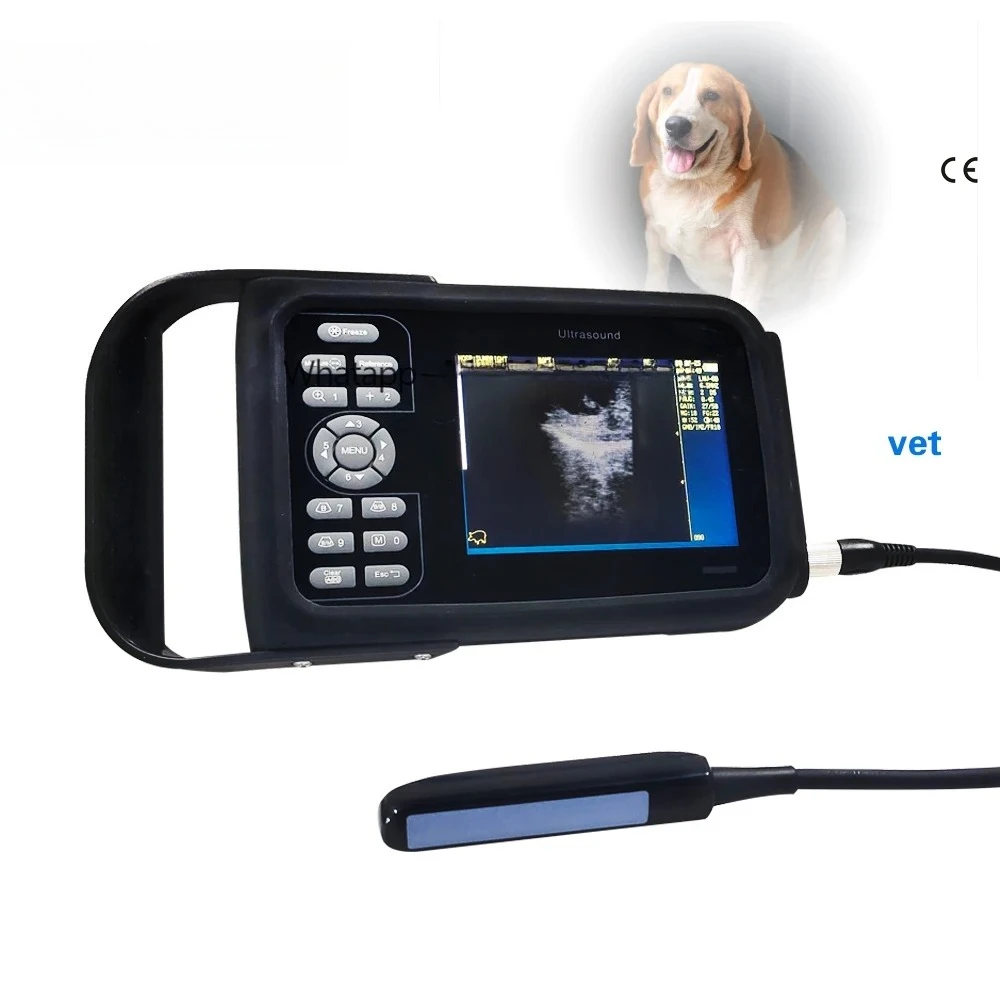

SUN-808F Cheapest Vet Handheld Smartphone Ultrasound Machine/medical Equipment Portable Full Digital Ultrasound