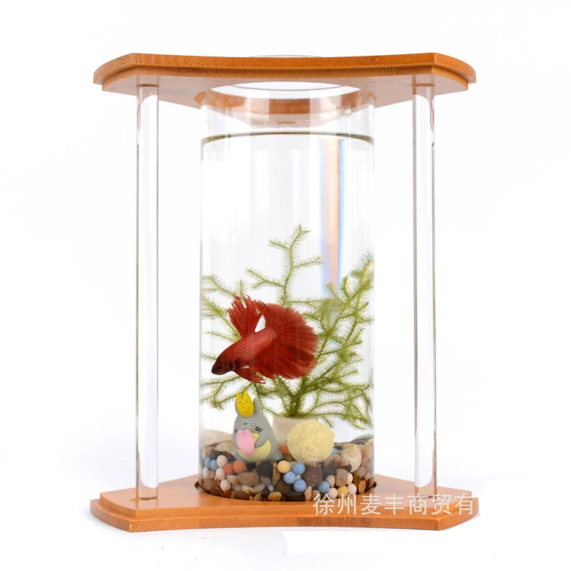 

Creative bamboo and wood eco fish tank Desktop Mini aquarium Wholesale aquarium and accessories glass white