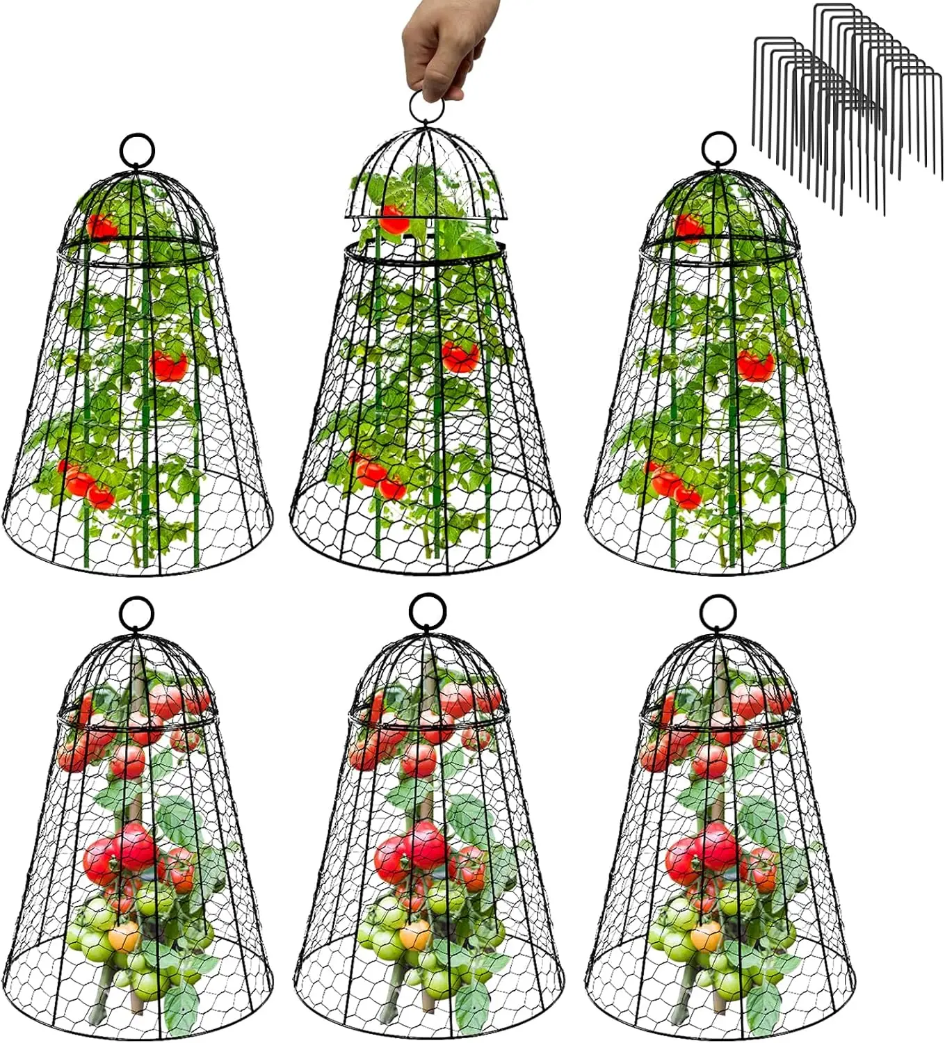 Garden Cloches for Plants Extra Large Garden Cloche Chicken Wire Cloche for Plants Cages Cover Plant Protectors from Animals
