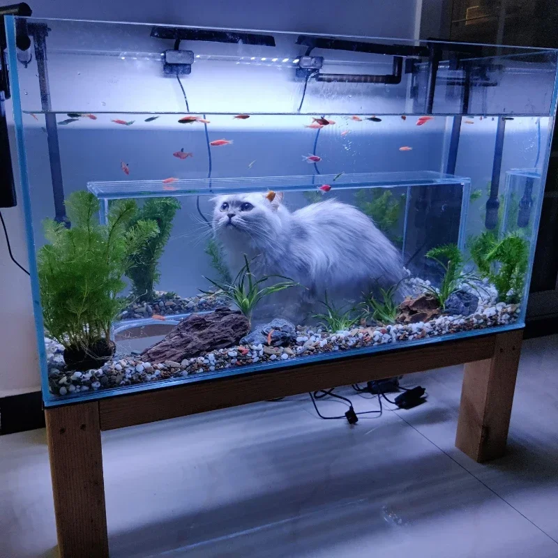 Cat Viewing Tank Super White Glass Customized Fish  Special-Shaped Fish Tank