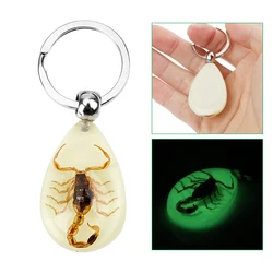 Auto Pendant Handbag Wallet Pendant Scorpion Amber Pendant Auto Accessories Key Holder Car Keyring Creative Scorpion Keychain