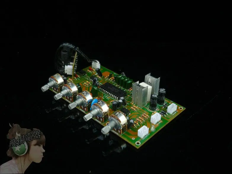 H Karaoke Microphone Board with 4558 Pre-amplifier M65831ok Board Reverb Board Effect Super Pt2399 view 3