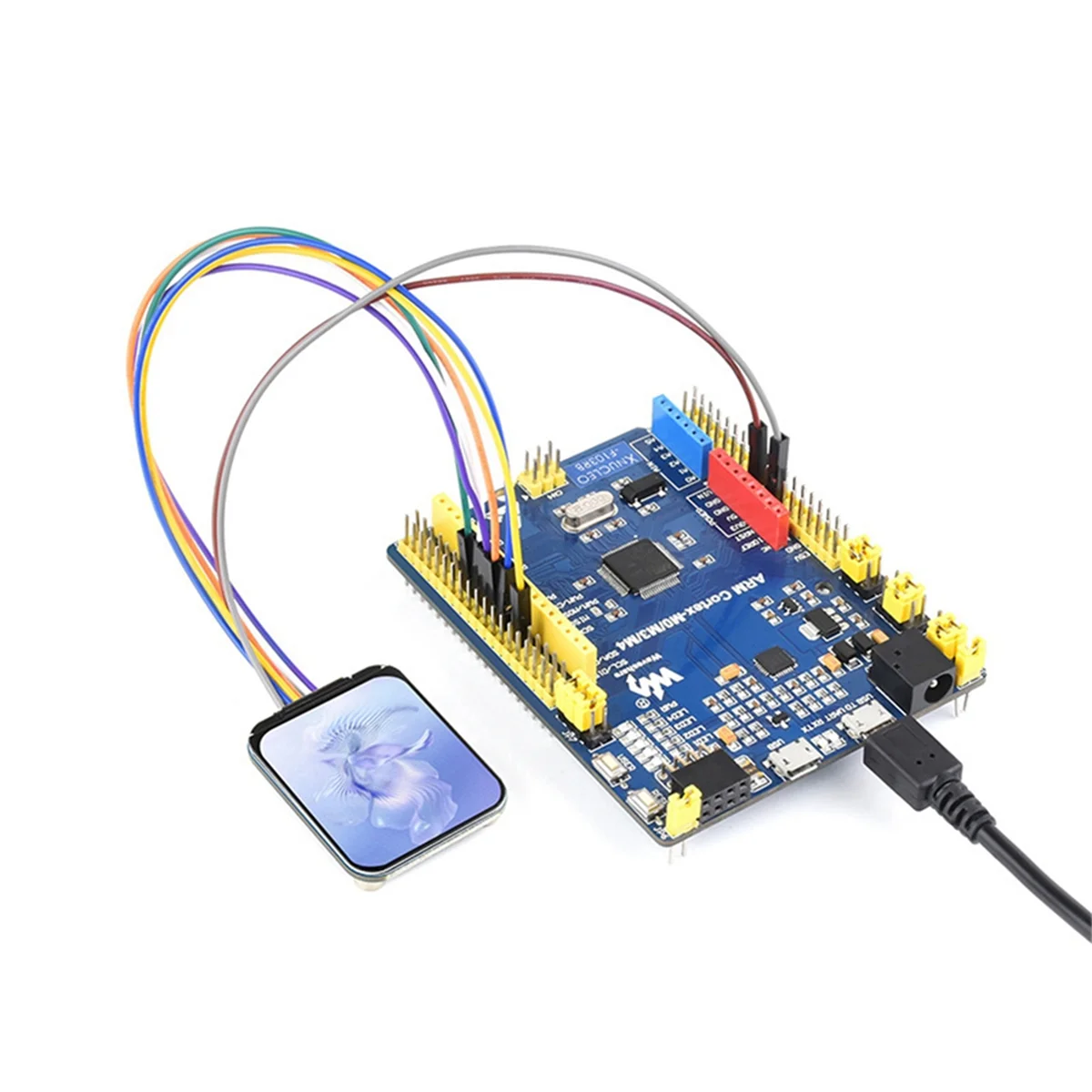 Waveshare 1.83 Inches LCD Expansion Board IPS Color Round Corner Display 240x280 SPI Interface 65k Color Screen Expansion Board