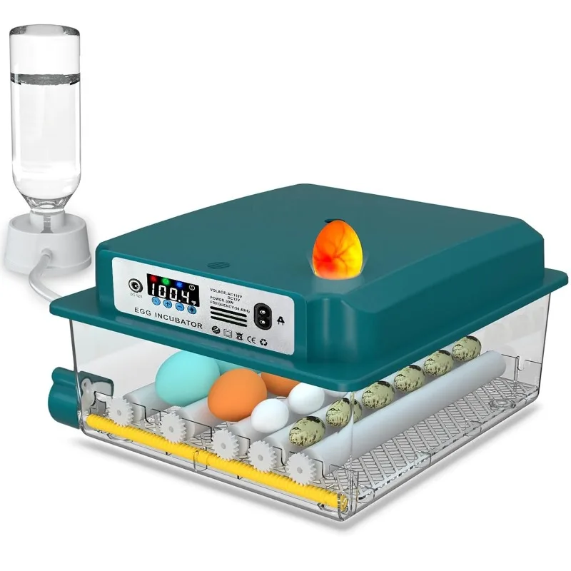 

Mini Egg Incubator Fully Automatic Incubator 16 Eggs Hatching Machine