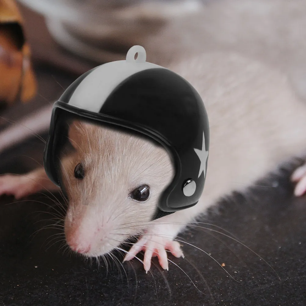 Hamster Play Toy Cap Iron Pet Accessory – Safe Eco-Friendly Garden Photo Prop for Fun Exercise & Mental Stimulation