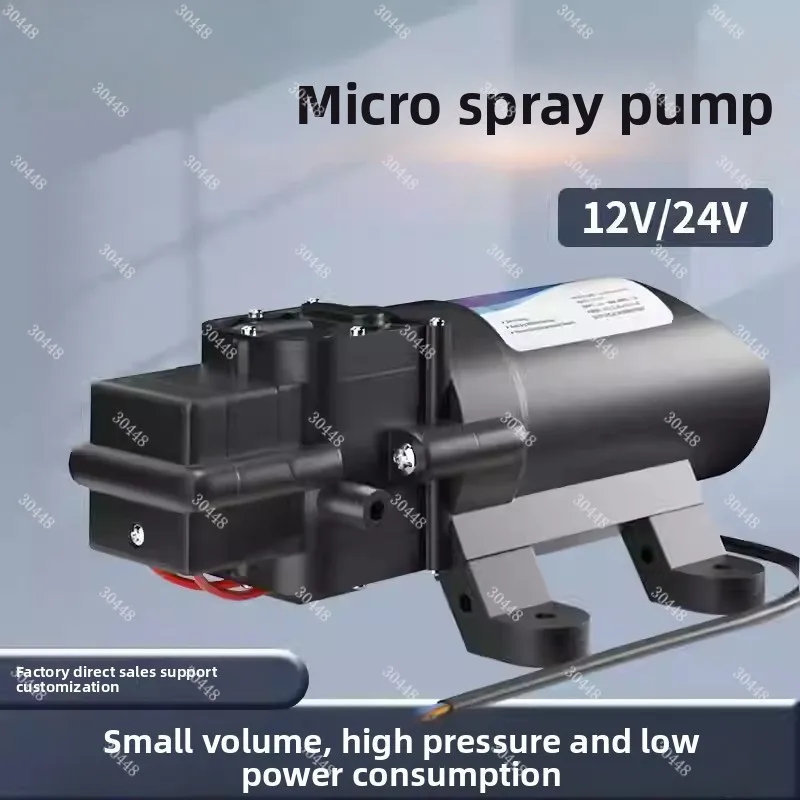 FL-2202A High Pressure Micro DC Pump Drone Spraying Booster Pump Electric Cola Machine Water Pump