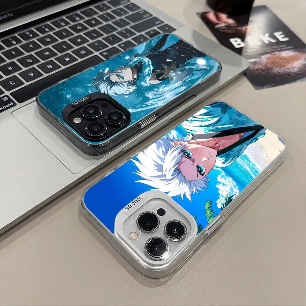 

Bleach Toshiro Mobile Phone Case for iPhone 16 15 14 13 12 11 X XR XS 8 7 Pro Max Plus Translucent Colour Printing Luxury Pretty