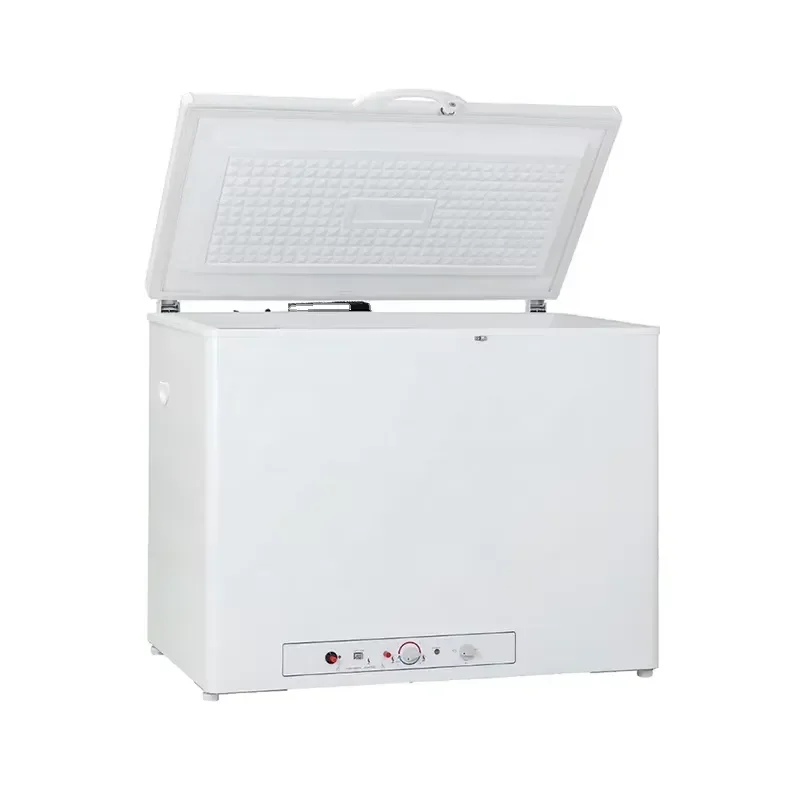 200L 12V 24V Butane LPG Gas Absorption Box Freezer High Quality Portable Refrigerator for Car RV Camping Outdoor Use