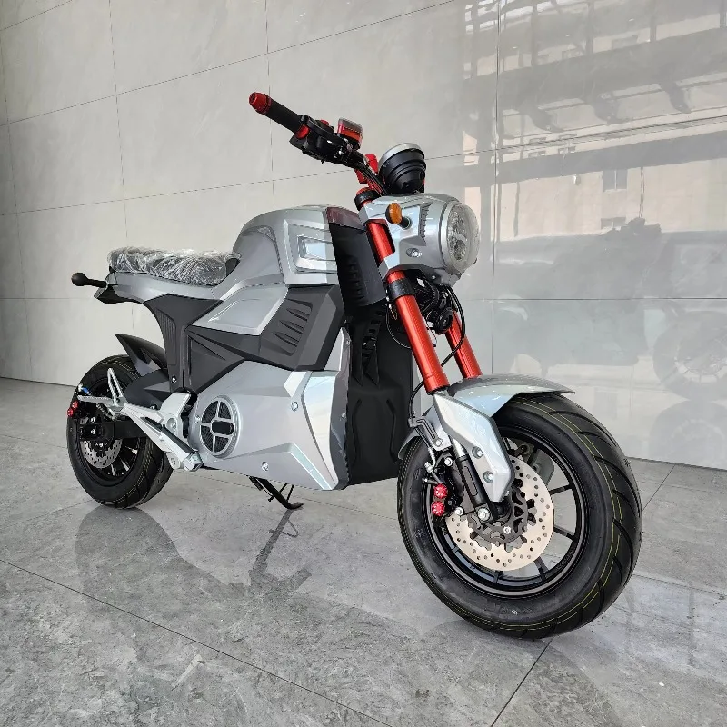

Krono Wild Customized Electric Motorcycle 2000W 3000W 5000W Motor Speed 80-120km/h Off-road Style Small Sports Motorcycle