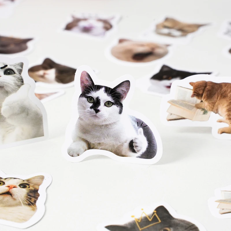 46PCS Kawaii Suprise Cat Small Sticky Sticker Aesthetic Colorful DIY Decoration Scrapbooking Stationery School Supplies for Kids