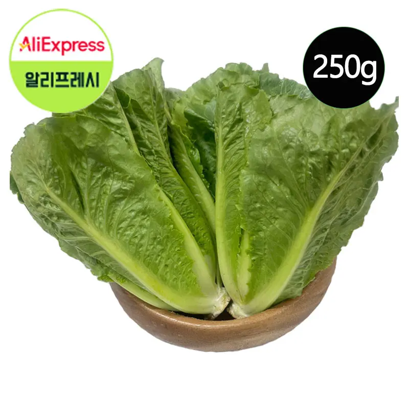 قصة الخضار تونجرو الرئيسية 250 جرام Ro Main Sangchae (الخس) الخضروات المختلطة جودة ممتازة