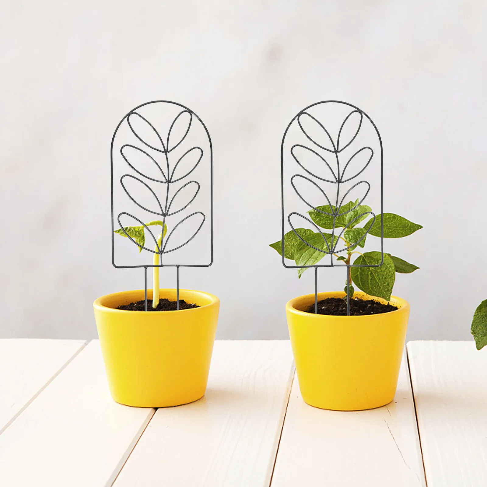 2Pcs Iron Plant Climbing Frame Sturdy Vine Trellis for Potted Plants Ornamental Garden Decor Fine Polished Surface No Burrs
