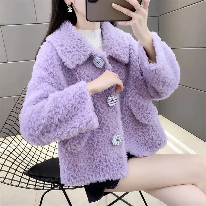 Outono inverno senhoras imitação de lã de cordeiro casaco coreano moda feminina casual jaqueta de pele do falso 2025 feminino mangas compridas de pelúcia outwear