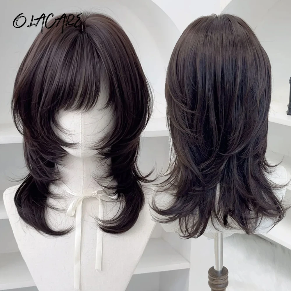 

OLACARE Synthetic Straight Wigs with Black Brown Bangs High Density Natural Fake Hair Wig Daily Cosplay Party Wigs for Women