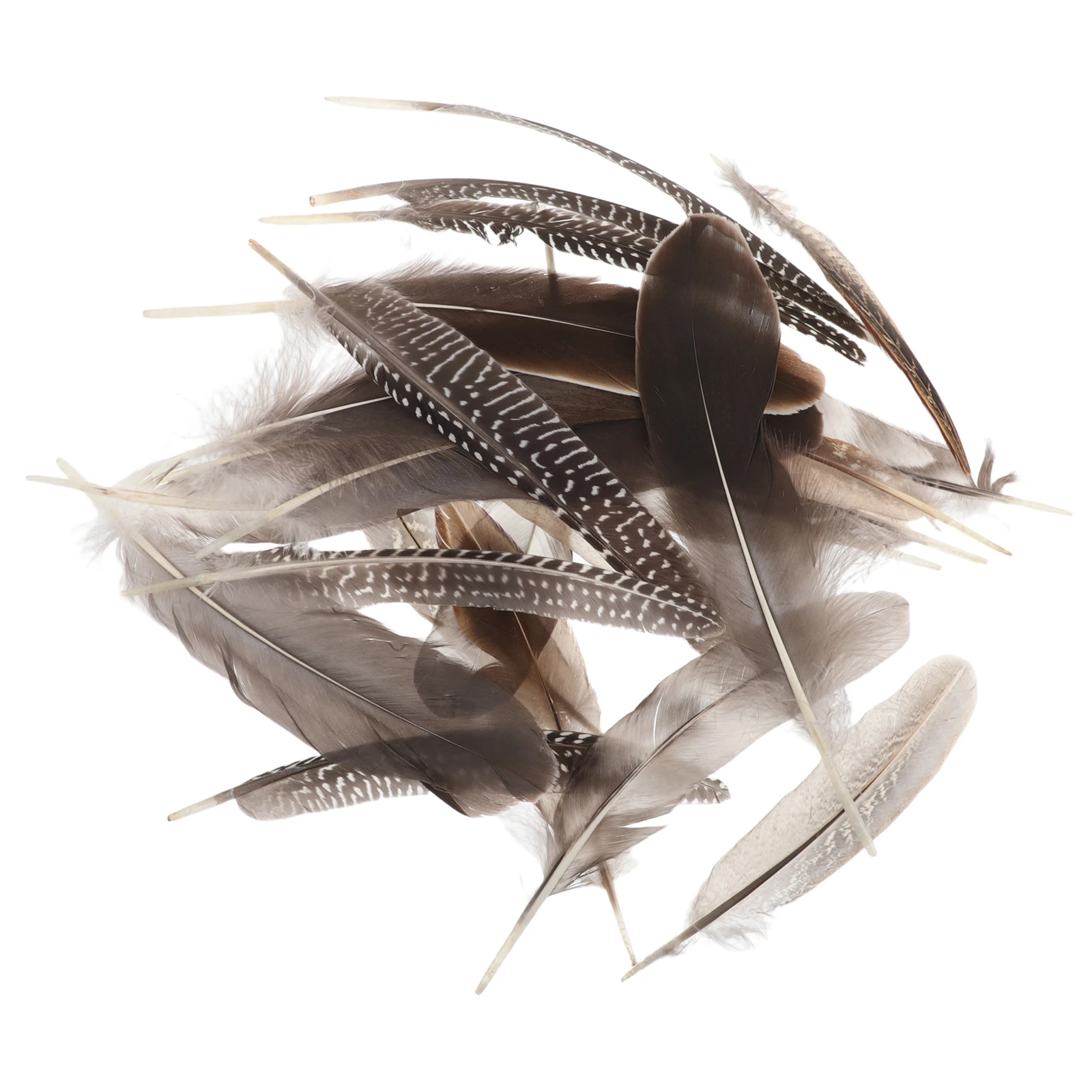 

4 Set Pheasant Accessories Plumes Natural Arts Supplies Dream Catcher Making