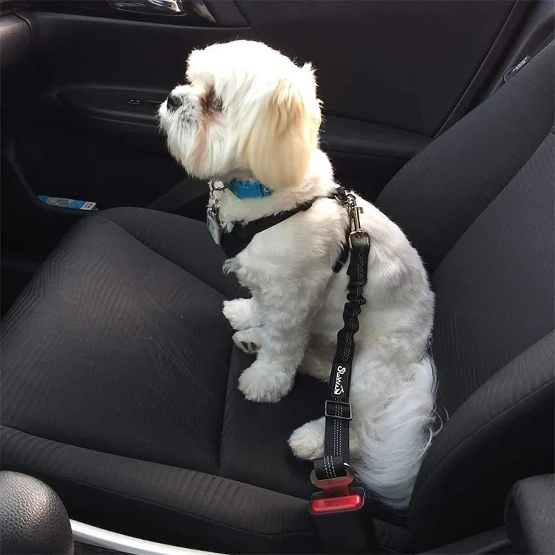 Cintura di sicurezza per cani in Nylon resistente per cani di piccola taglia regolabile riflettente elastico in piombo corda di sicurezza per auto