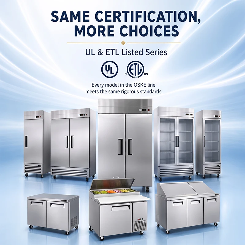 Mobile Cabinet,Mobile Upright Freezer Wheel Shockproof Base Outdoor Catering Assorted Frozen Food Portable Display Storage Cabin