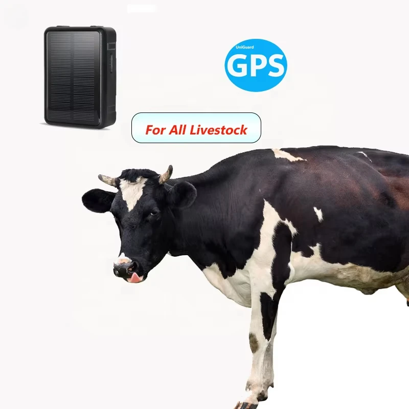 

GPS-трекер STLFCow с автономным питанием, GPS-трекер для верблюдов и лошадей, устройство для отслеживания скота и крупного рогатого скота