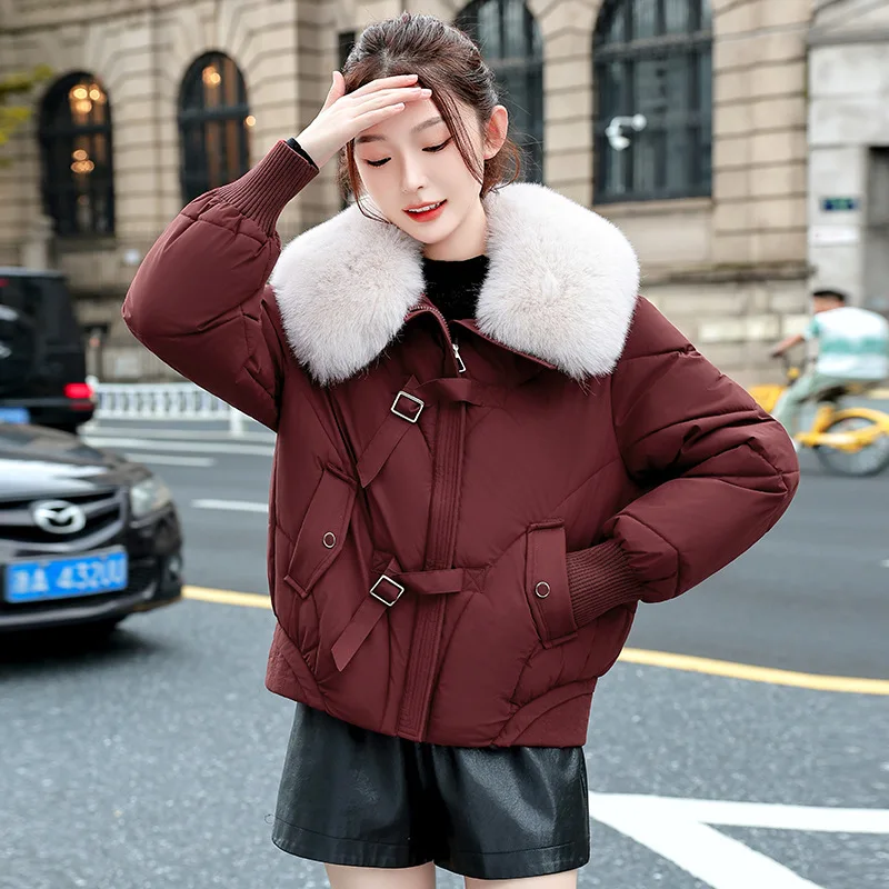 

Loose Down Coat Women Parkas Winter 2025 Big Fur Collar New Warm Cotton Padded Coat Short Outerwear Fashion Ladies Overwear Tops