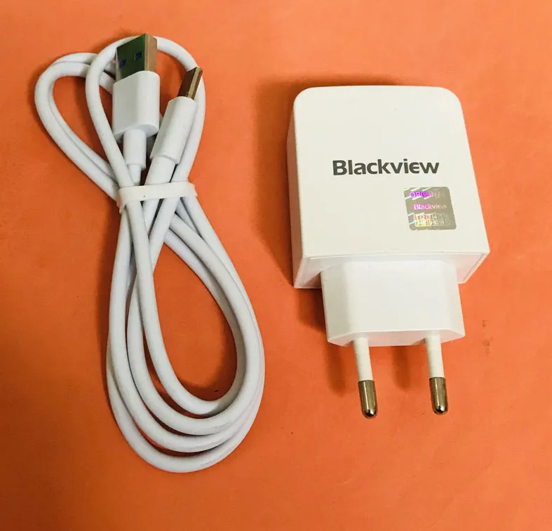 

Original USB Charger Plug + type c Cable for Blackview BV9700 Pro Helio P70 Octa Core Free shipping