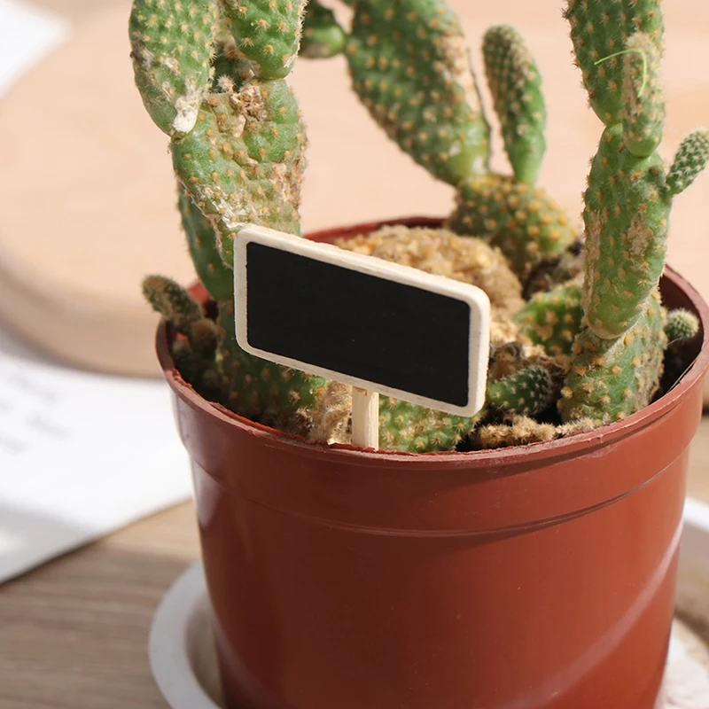 Mini quadro-negro Madeira Mensagem Slate, Clipe Retangular, Painel Clip, Cartão Memos Label, 50