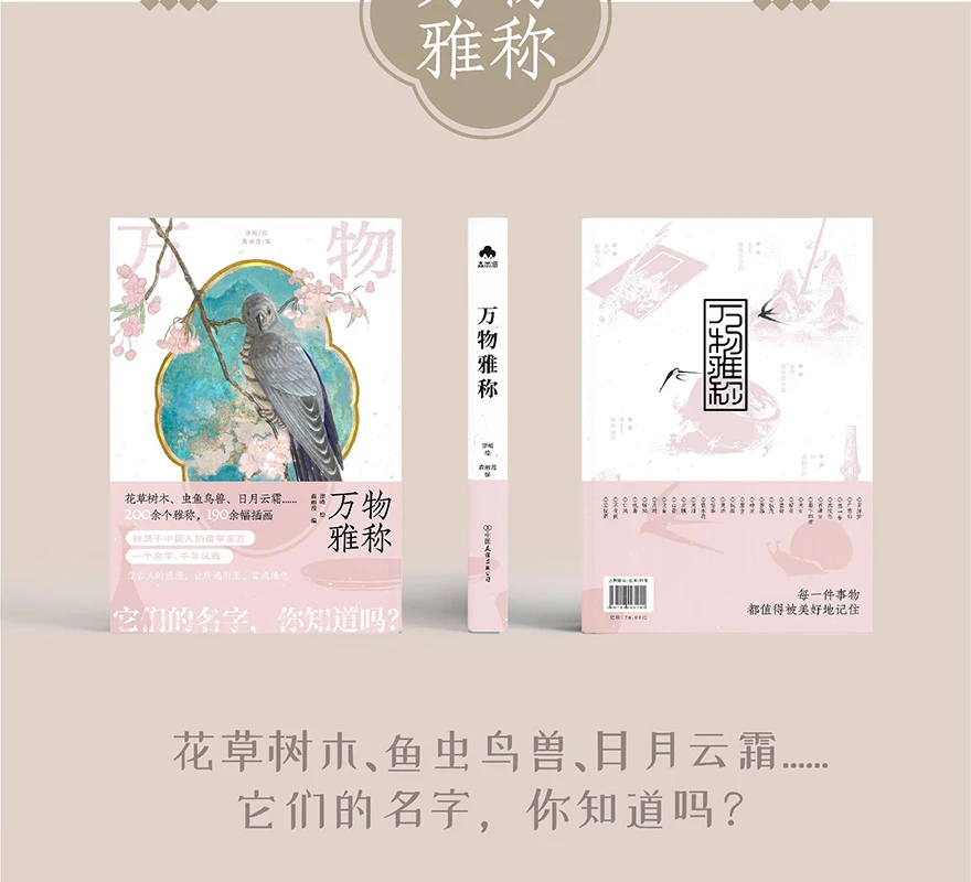 كل الأشياء الأنيقة 200 شروط جمالي 190 رسوم توضيحية على الطراز القديم + تاريخ العلوم الشعبية