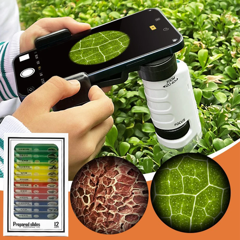 Educational Mini Handheld Microscope with LED Light 60-120x Pocket Microscope Battery Powered Home School Science Toys Gift