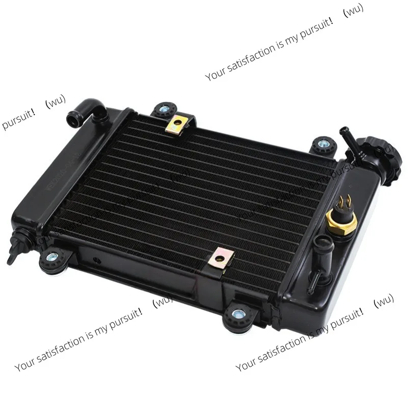 

Water Cooling Tank Radiator For Bashan 200-7 250cc 200cc electric ATV UTV Go Kart Buggy Parts