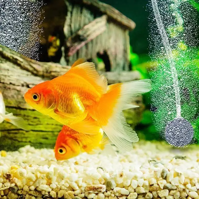 Solarbetriebener Teichbelüfter 2,5W Direktantrieb Luftbelüfter Sauerstoffpumpe für Außenfischteich Aquarium Angeln – Detail 10