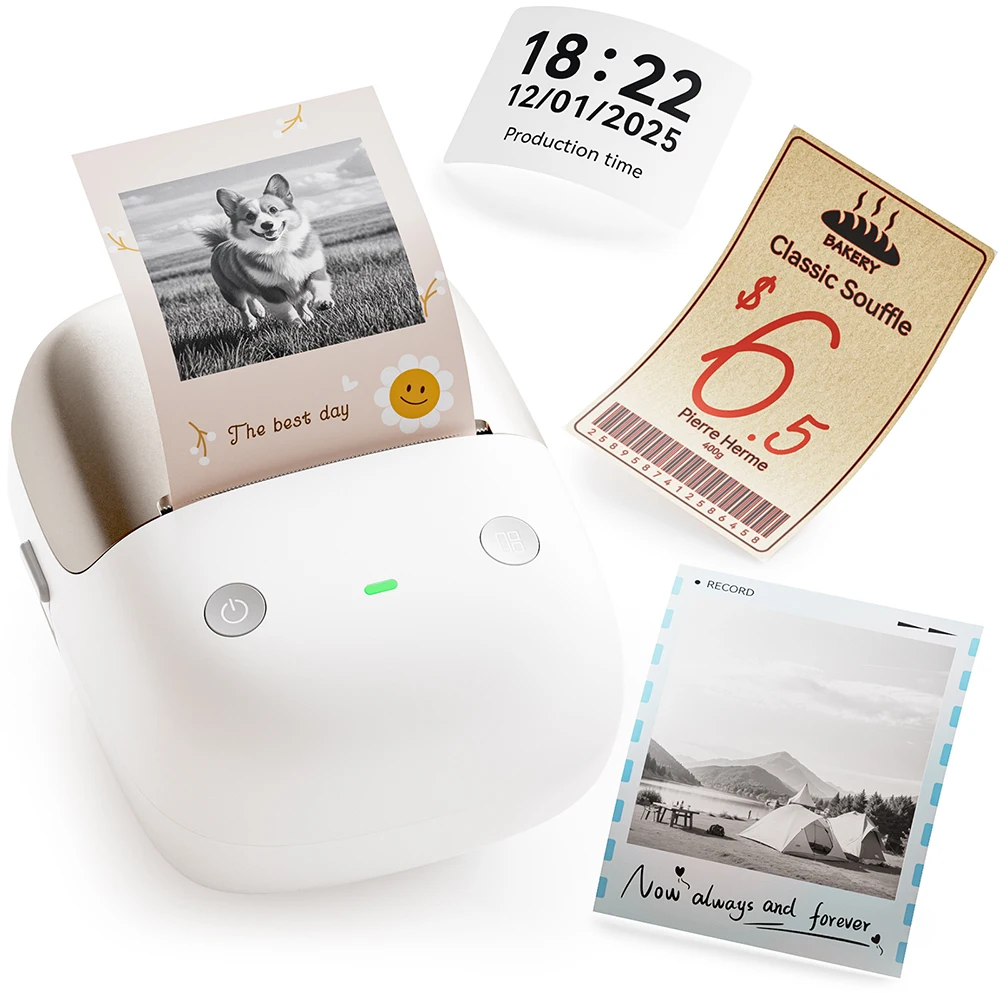 Niimbot B2 Pro Ther…