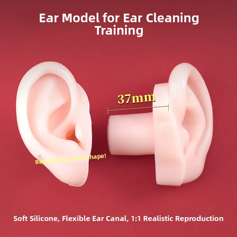 Advanced Simulation Silicone Ear Model Practice Tool Set Long Ear Canal Fake Ears Training for Ear Cleaning Tools