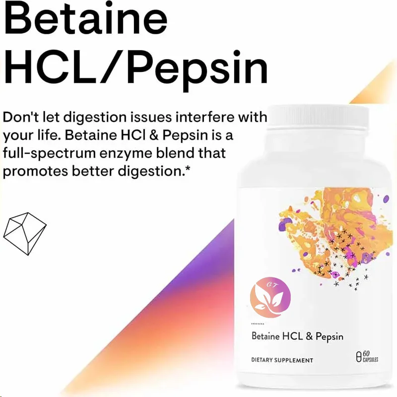 Betaine Hcl Digestive Enzyme for Protein Breakdown and Absorption -60 Vegetarian Capsules