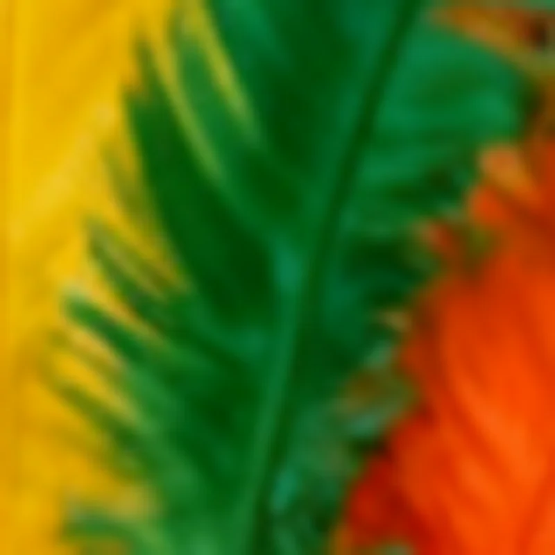 

Коммерческая электрическая машина для нарезки мяса, овощей и баранины из нержавеющей стали