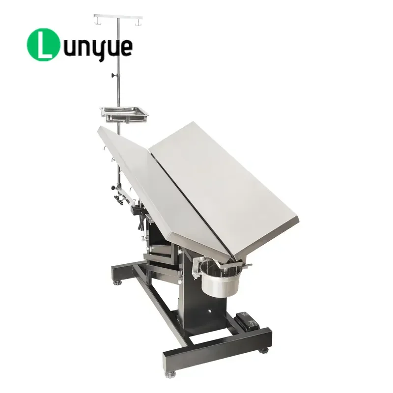 Custom Electric Lifting Dog Grooming Table Iron Material Rechargeable 110-240V Pet Care Operating Station for Home Use