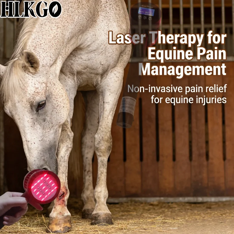 

Лазер для обезболивания лошадей с передовыми технологиями, 4 уровня мощности, ветеринарный прибор для лечения артрита, тендинита, ламинита, мышечных проблем у животных