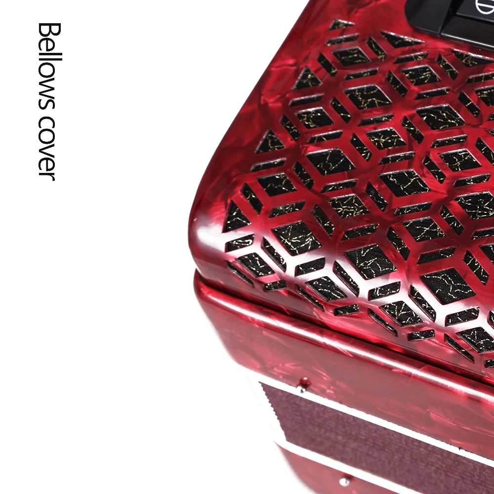 34 Keys 60 Bass 5 Register Diatonic Keyboard Accordion Piano Bayan Musical Instrument for Professional Perform