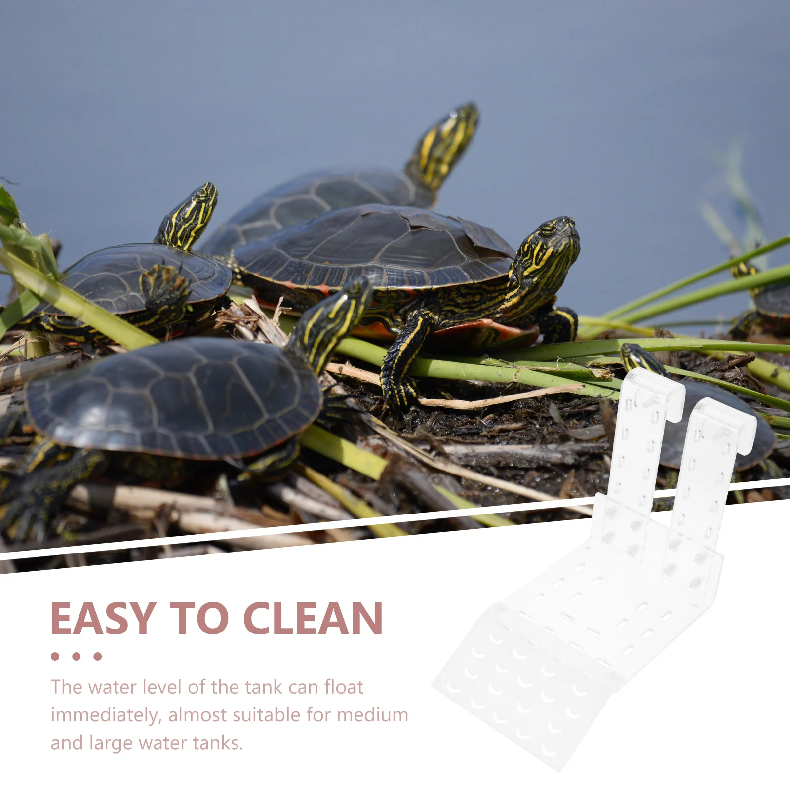 منصة الفرح السلحفاة شفافة من الأكريليك الزواحف للسلحفاة الضفادع السحالي السلحفاة حوض السمك شرفة السلاحف الحيوانات الأليفة