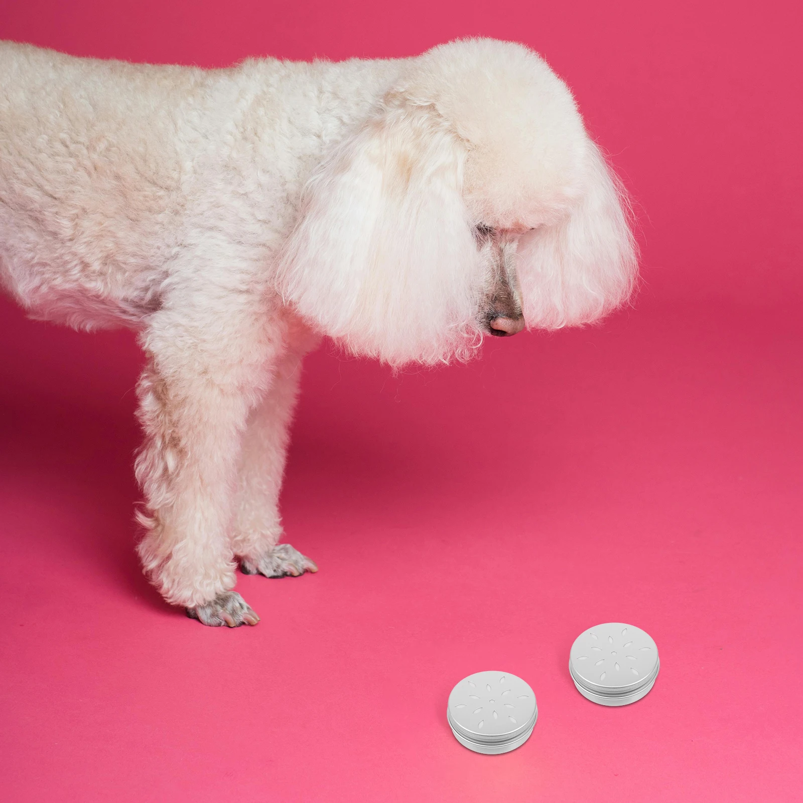 

10Pcs Scent Training Box Dog Nose Training Tool Premium Aluminum Material for Boredom Relief and