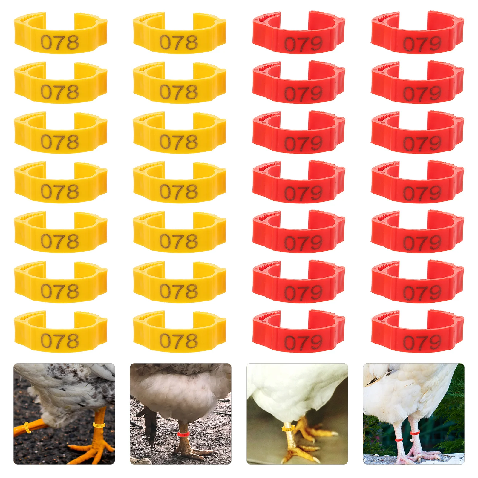 200pcs Chicken Rings Poultry Feet Bands With Number Durable Plastic Farm Marker Tools Bird Identification Reusable Pigeon Bands
