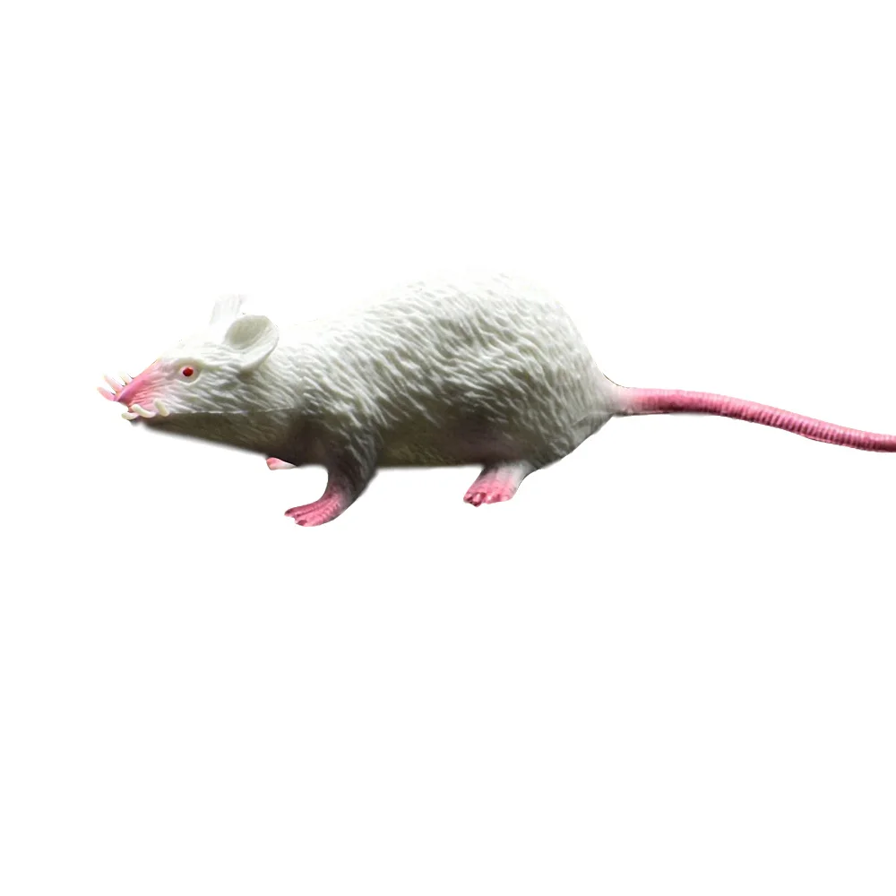 TOYANDONA 16 Pièces Décorations De Rats D'halloween Faux Rat Jouet Horrible Accessoires De Farce D'halloween Décorations D'halloween Rats Blague Souris Faux-Rat Le Rat Plastique Masse Enfant TOYANDONA 16 Pièces Décorations De Rats D'halloween Faux Rat Jouet Horrible Accessoires De Farce D'halloween Décorations D'halloween Rats Blague Souris Faux-Rat Le Rat Plastique Masse Enfant