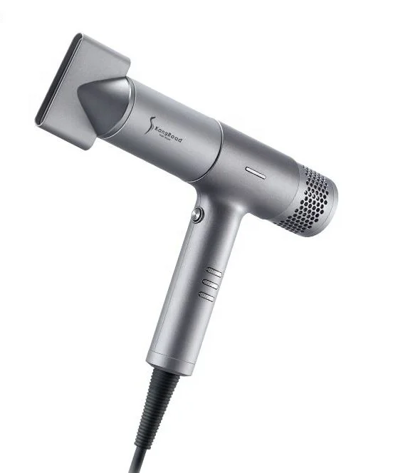 Beauty Hot Selling Home Use and Travel Handheld Hair Dryer BL DC Electric Dryer Set Healthy Hair Scalp Care